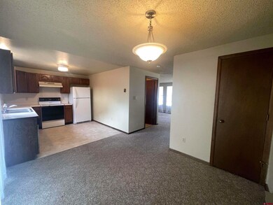 410 W 6th St unit 2, Cortez, CO 81321 - photo 5