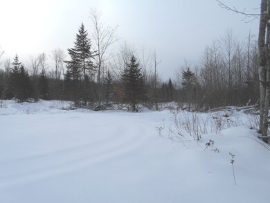 0 Washburn unit 3 4611612, Columbia, NH 03576 - photo 6