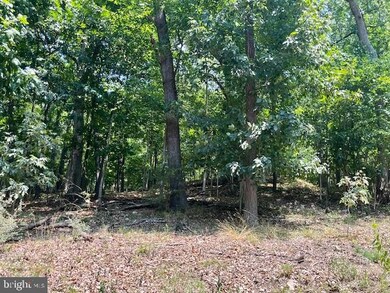 0 River View Place unit VAPA2003814, Shenandoah, VA 22849 - photo 2