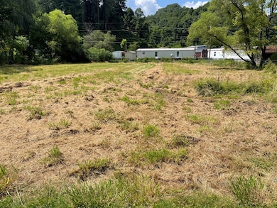 TBD Bridge St, Raven, VA 24639 - photo 4