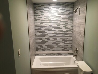 702 205th Place, Dyer, IN 46311 - photo 3