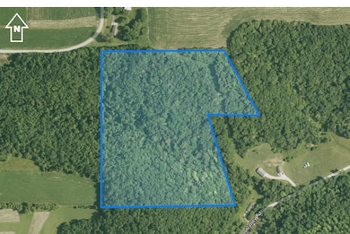 TBD E Burns Valley Rd, Wilson Township, MN 55987 - photo 2