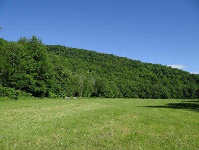 0 Route 103 unit 4999744, Chester, VT 05143 - photo 7