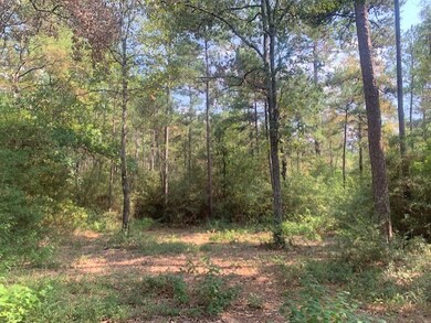 View of tree filled area
