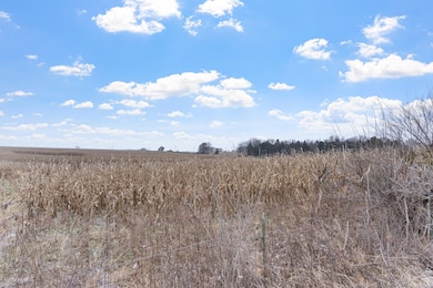 19.56 AC Bentlage Dr, Ashland, MO 65010 - photo 6