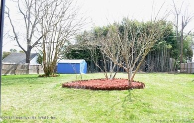 Large Backyard