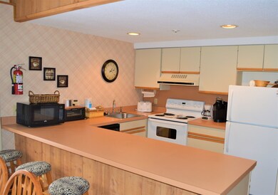 L Willows Snowtree Ln, Dover, VT 05356 - photo 4