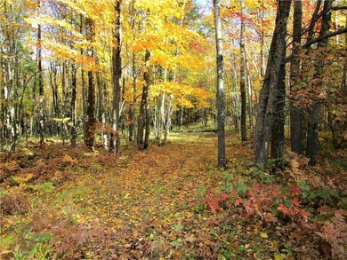 Lot 17 103rd St, Bone Lake, WI 54837 - photo 2