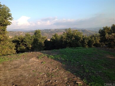 32733 Mesa Lilac Rd, Escondido, CA 92026 - photo 7