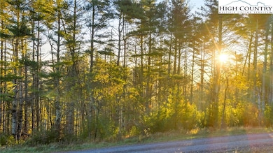 18 Davis Acres Dr, West Jefferson, NC 28694 - photo 2