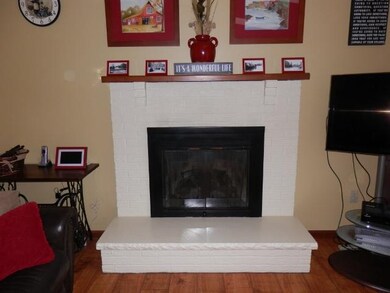 Other GAS FIREPLACE