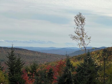Mtn Views_3660 (1)