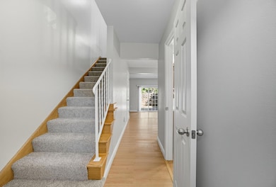 4-web-or-mls-4X3A3652