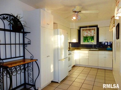 10702 W Farmington Rd, Hanna City, IL 61536 - photo 6