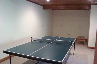 Lower Level Walk-Out Rec Room