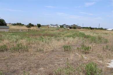 101 Kathy Stephens Ave, Springtown, TX 76082 - photo 4