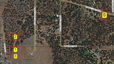 Lot #2 Power Line Rd unit S, Heber, AZ 85928 - photo 7