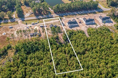 4005 Highway 905 unit Lot 8, Conway, SC 29526 - photo 6