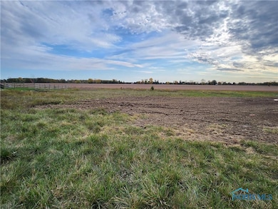 25216 John F McCarthy Way, Perrysburg, OH 43551 - photo 2