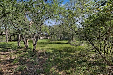 View of grassy yard
