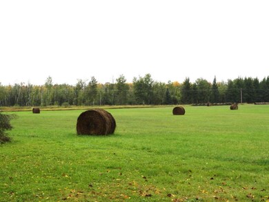 48127 Kestrel Ave, Tamarack, MN 55787 - photo 4