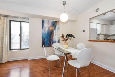 280 Harvard St unit 3A, Cambridge, MA 02139 - photo 7