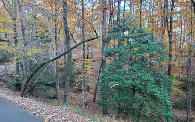 Additional View