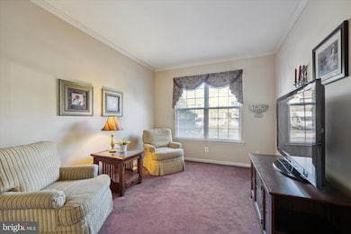 8 Wheatsheaf Ln unit 8, Norristown, PA 19403 - photo 6