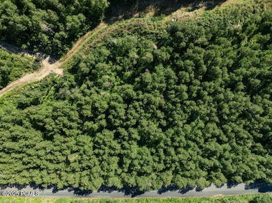 5146 N Pine Canyon Rd, Midway, UT 84060 - photo 4