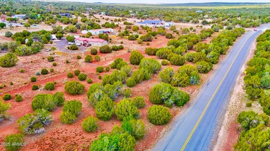 180 Co Rd 3148 Lot #1 2 1 Acres --, Vernon, AZ 85940 - photo 5