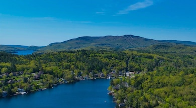 14 Lake Ave unit 1, Sunapee, NH 03782 - photo 5