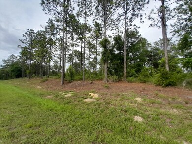 TBD SE 71st Place, Morriston, FL 32668 - photo 3