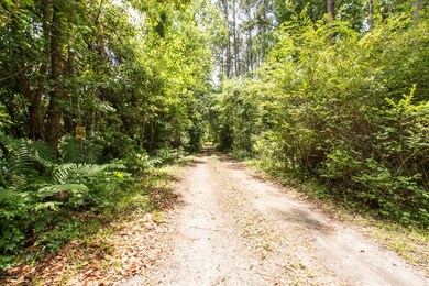 2864 Walton Ln, Jacksonville, FL 32216 - photo 7