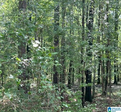 0 Fleming Rd unit 1 21425670, Vincent, AL 35178 - photo 5