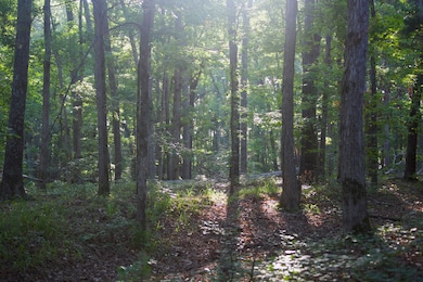 4000 W Fork Rd, Saulsbury, TN 38067 - photo 3