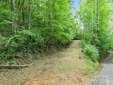 13 Galega Trail unit D, Maggie Valley, NC 28751 - photo 6