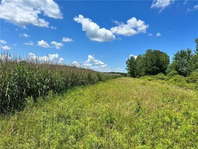 0 Stanhope Kelloggsville Rd unit 4473477, Denmark, OH 44032 - photo 7