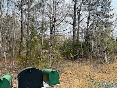 00 Broad Street Rd, Goochland, VA 23129 - photo 6