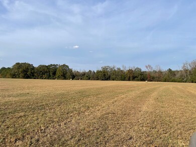 County Road 69, Selma, AL 36701 - photo 5