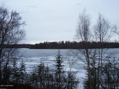 Island Lake L2A Teal Ct