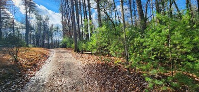 3 LOTS Ridgecrest Dr, Blue Ridge, GA 30513 - photo 7