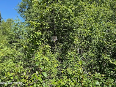 B005 Private Rd, Willow, AK 99688 - photo 7