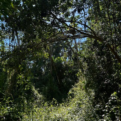 0 Oopu St unit 725856, Hawaiian Beaches, HI 96778 - photo 7