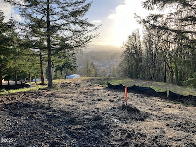 1200 Blk NE Center St unit Parcel  4, Sheridan, OR 97378 - photo 3