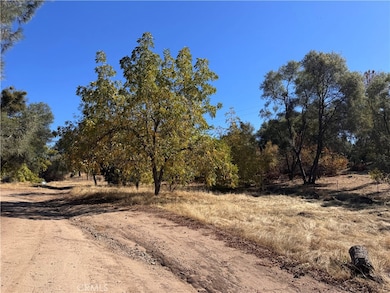 4582 Ashworth Rd, Mariposa, CA 95338 - photo 5