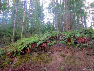 43 Brays Way, Bellingham, WA 98226 - photo 7