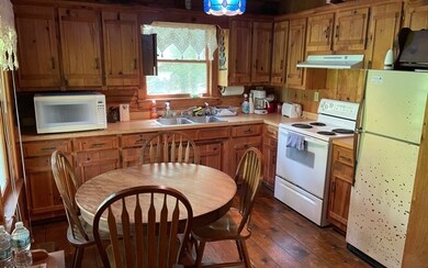 315 Apple Creek Rd, Blue Ridge, GA 30513 - photo 3