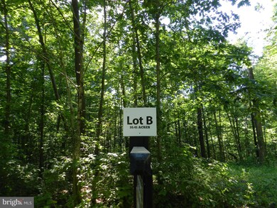 B Hart Ct, Culpeper, VA 22701 - photo 2