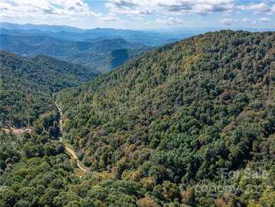 000 Simms Fork Rd, Burnsville, NC 28714 - photo 2