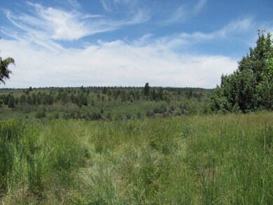 Views of public land